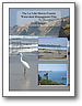 thumbnail for the La Jolla Shores Coastal Watershed Management Plan